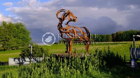 The-Ram-Kirkby-Lonsdale The Kirkby Lonsdale Ram by Andy Kay – A4 & A3 print